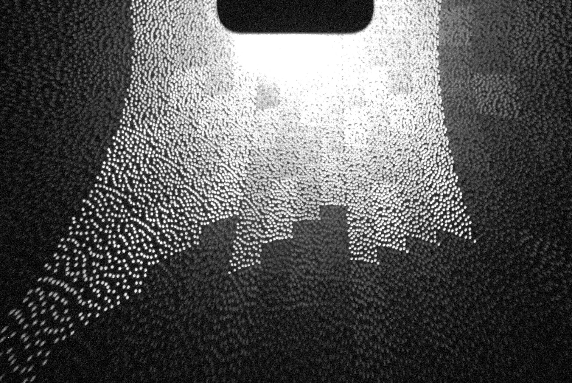Biometric security: flaws and law (58 chars)